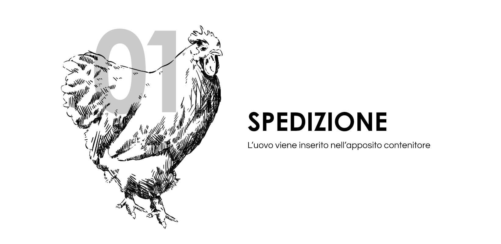 Disegno di una gallina su sfondo bianco