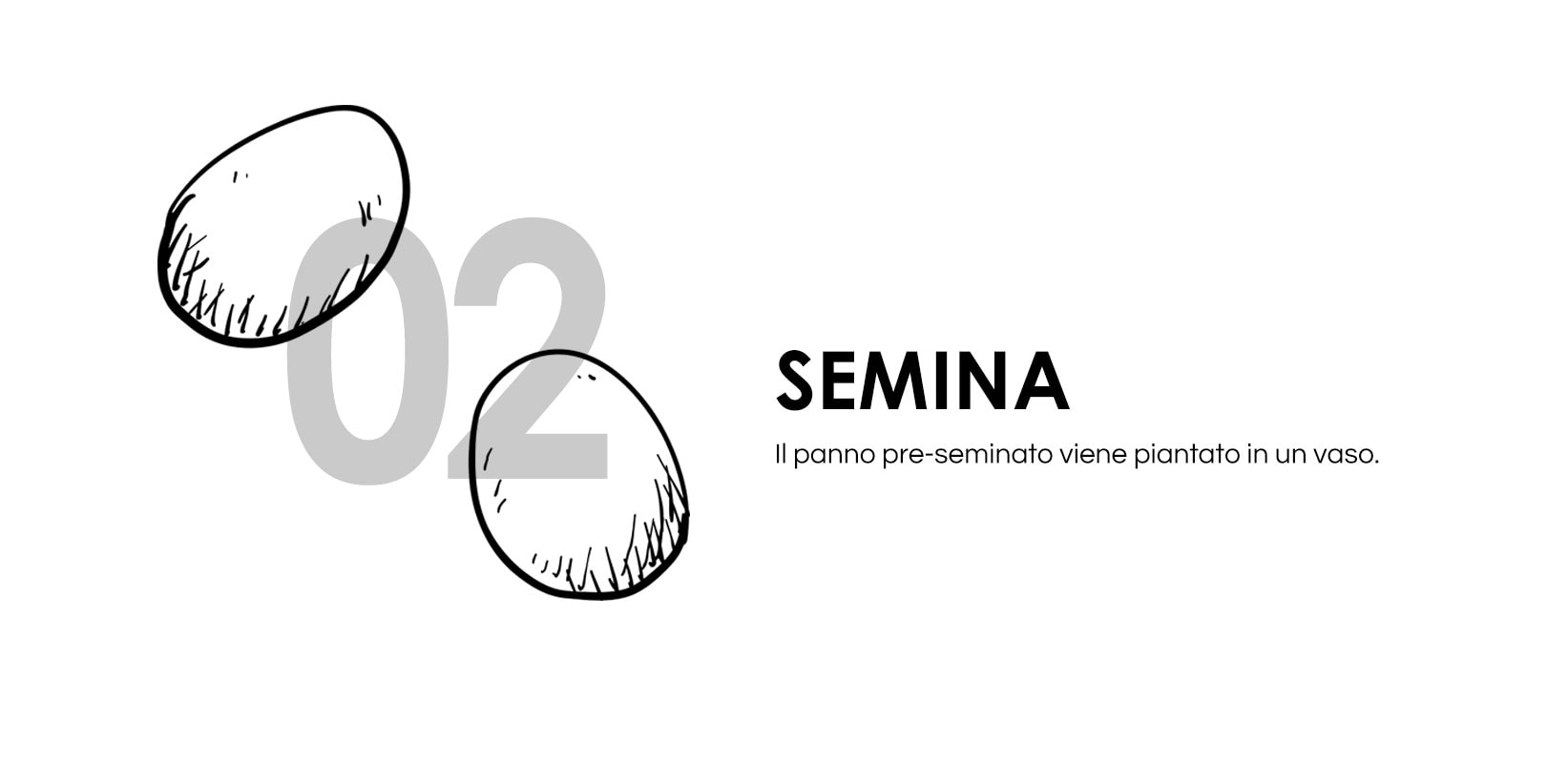 Disegno Uova illustrate su sfondo bianco