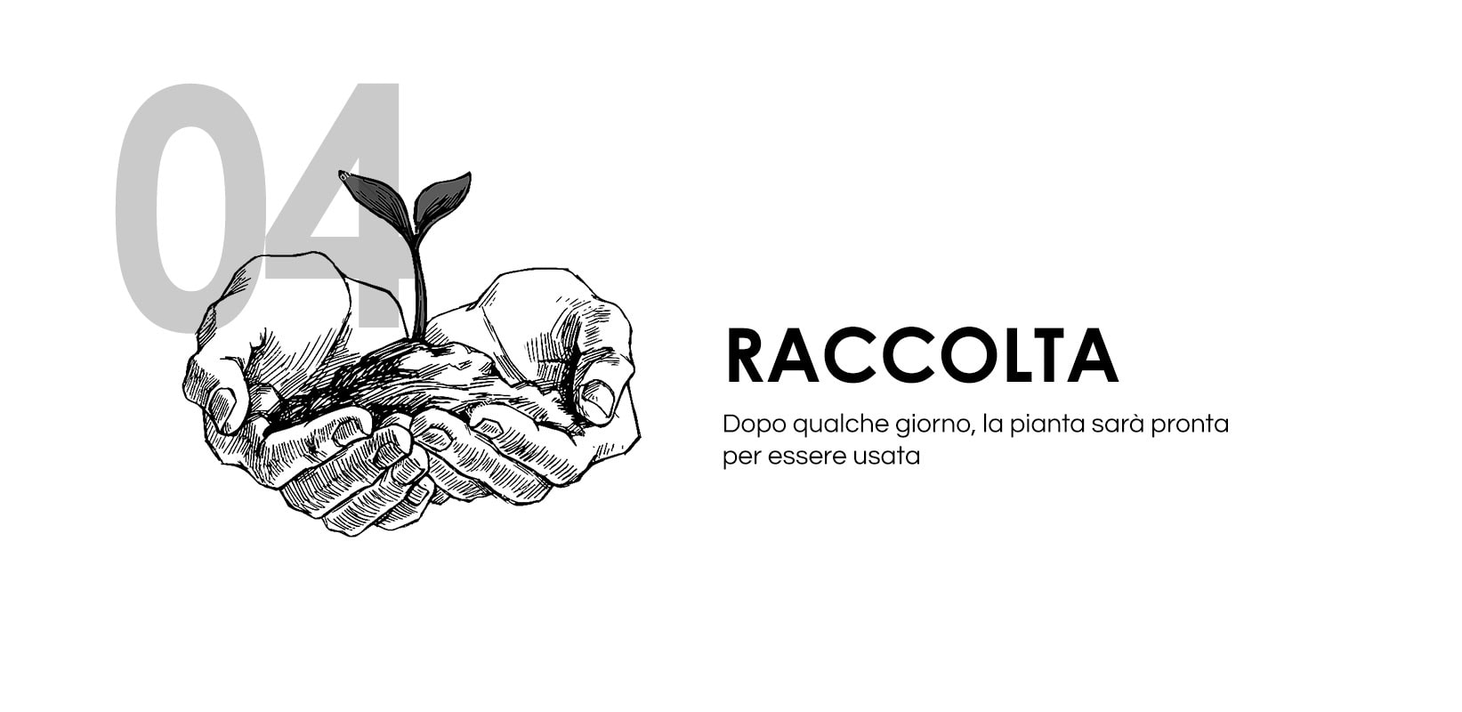 Disegno di due mani che tengono terra con una piantina che nasce